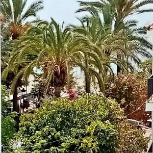 Apartament Beach Old Town, Estepona